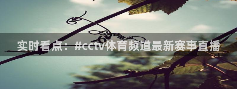 新球：实时看点：#cctv体育频道最新赛事直播