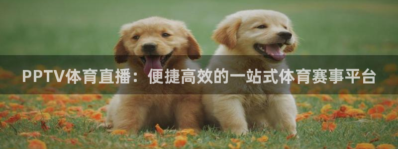 新球体育直播：PPTV体育直播：便捷高效的一站式体育赛事平台