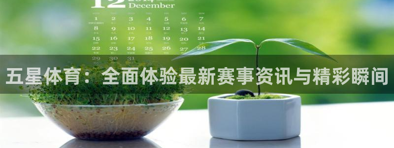 新球直播：五星体育：全面体验最新赛事资讯与精彩瞬间