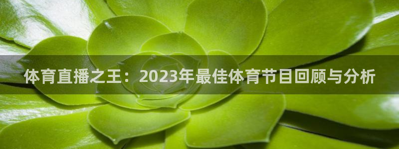 新球体育即时分：体育直播之王：2023年最佳体育节目回顾与分析