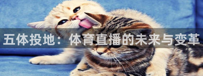 新球体育完整版：五体投地：体育直播的未来与变革
