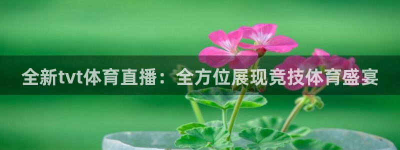 新球体育篮球比分：全新tvt体育直播：全方位展现竞技体育盛宴