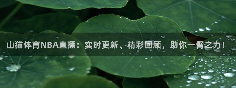 新球直播：山猫体育NBA直播：实时更新、精彩回顾，助你一臂之力！
