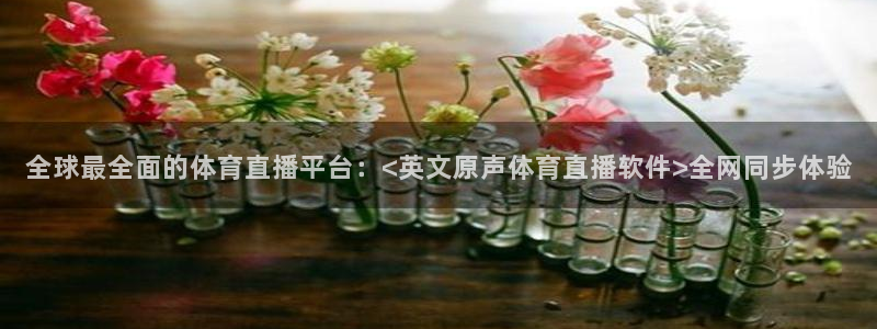 新球体育完整版