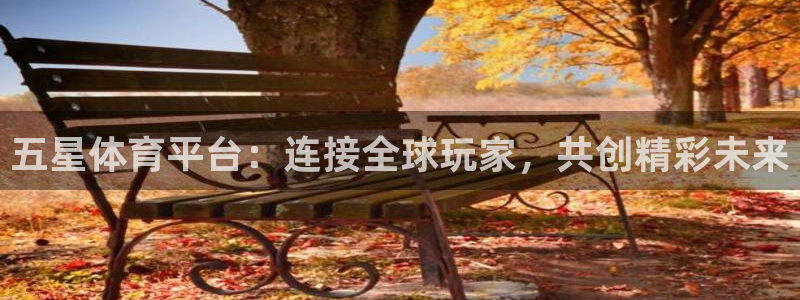 新球体育即时分