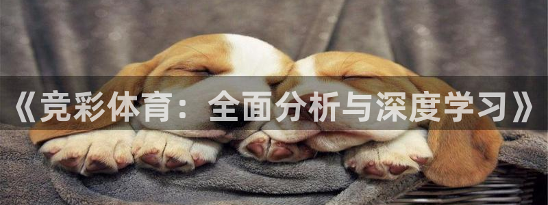 新球赛直播