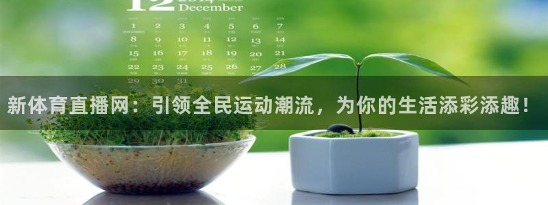 新球网直播：新体育直播网：引领全民运动潮流，为你的生活添彩添趣！