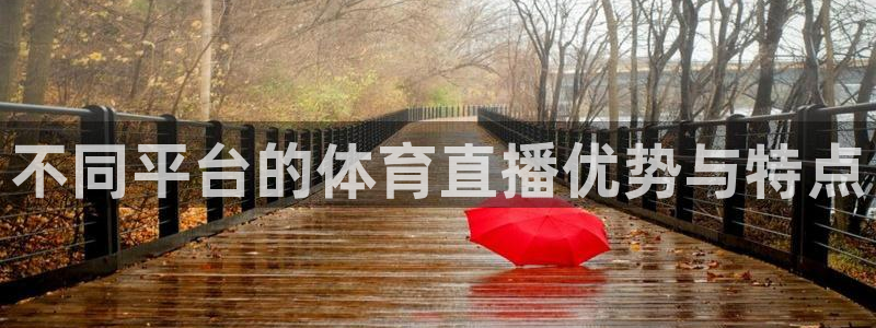 新球体育即时分：不同平台的体育直播优势与特点